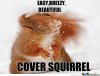 cover-squirrel_o_438376.jpg