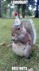 birthday squirrel.jpg