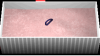 EM Emile Layne II - The Continuing Story of Europa.png EM Emile Layne II - The Continuing Story of Europa.png