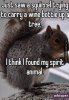 Animal-memes-squirrel-wine-bottle-501x720.jpg