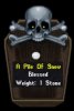 Snow Pie.jpg