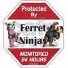 ninja_ferret_large_mug.jpg