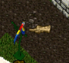 Untitled.png