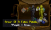 armor of fallen paladin.png