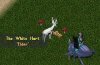 Imagewhite hart4.jpg Imagewhite hart4.jpg