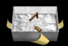 auct2.png