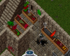 2010 -2.png