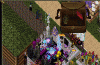 banner.gif