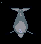 dolphin.png dolphin.png