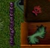 items.jpg