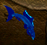 fishy fish.png