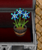 FLOWERS.PNG