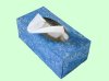 box tissue.jpg