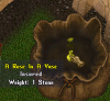 pic2.png