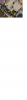 Atlanticidoc3.PNG