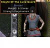 Knight Of The Luna Guard.jpg