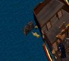 chest.JPG