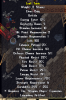 10 stam tunic.png
