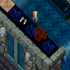 gorilla.png gorilla.png