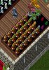 zzeaster1.JPG