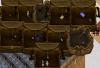 tonightsitems2.png tonightsitems2.png