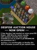 auction1.jpg