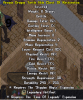 9. Turtle Hide Chest.png