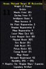 11. Plate Gorget.png