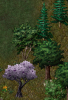 trees.png