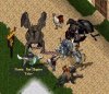 EM Event 11-15-16f.jpg EM Event 11-15-16f.jpg