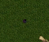 baja.gif