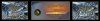 forum header2.jpg
