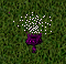 MUSHROOM1.png