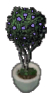 TribalBerryBush.png