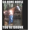 horse.jpg