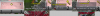annipic1.png