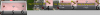 annipic2.png