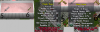 pic3.png