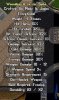 Woundingassassinspike.jpg
