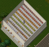 2016 Complete set.png 2016 Complete set.png