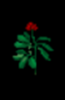 upload_2017-2-26_19-51-6.png upload_2017-2-26_19-51-6.png