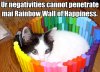 rainbow-wall-of-happiness.jpg