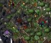 CastleDach.jpg
