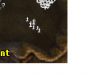 chess.png