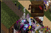 banner.gif