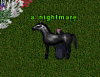 NewMare.png