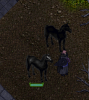 slots.png