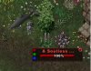 dolphinclip.jpg