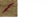 wave.png