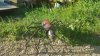 20170606_184619.jpg